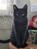 ユーザーの写真