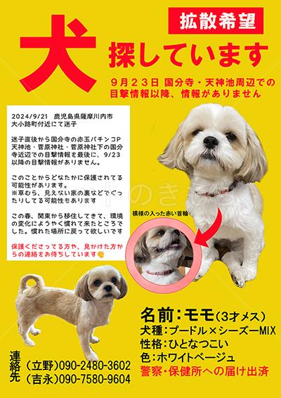 迷子犬の画像