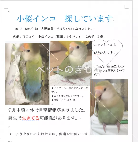 コメント投稿の画像