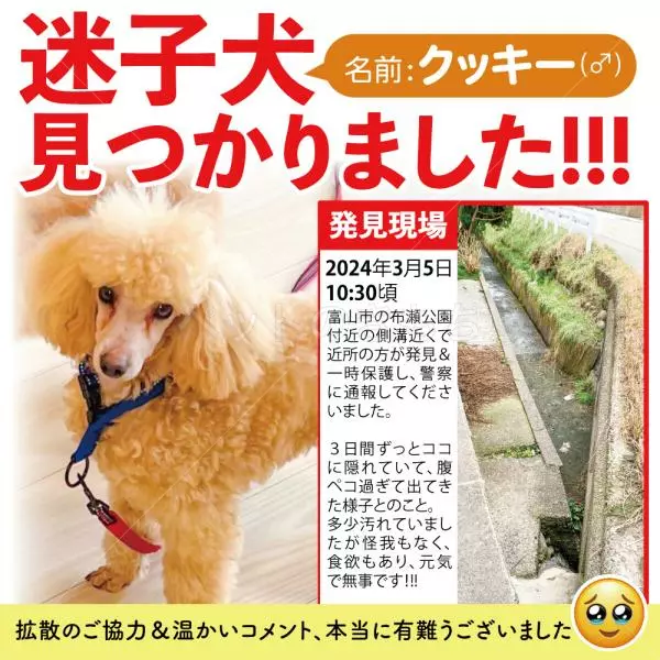 コメントの画像