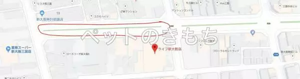 コメント投稿の画像