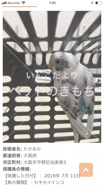 コメント投稿の画像