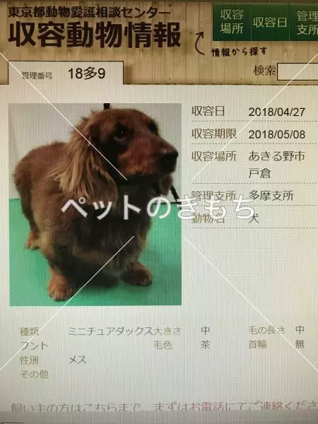 コメント投稿の画像