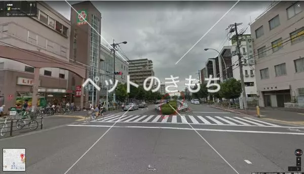 コメント投稿の画像