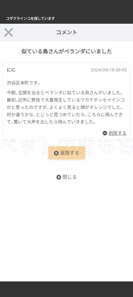 コメントの画像