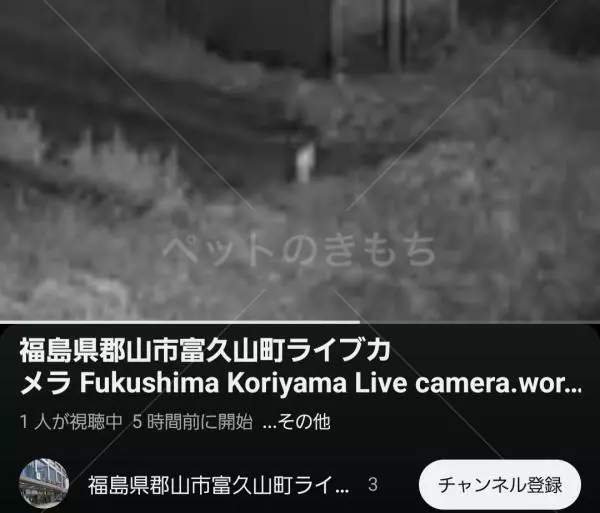 コメントの画像