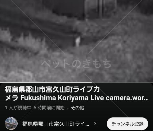 コメントの画像