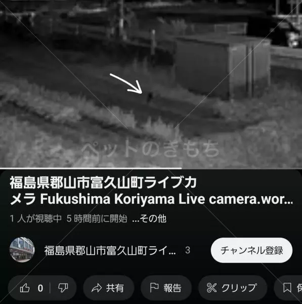 コメントの画像