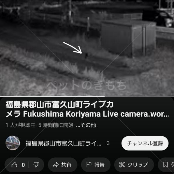 コメントの画像