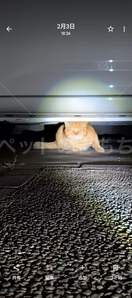 コメントの画像