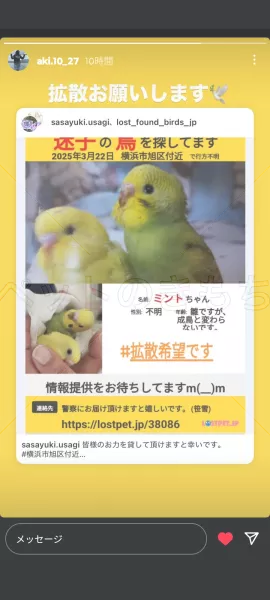 コメントの画像