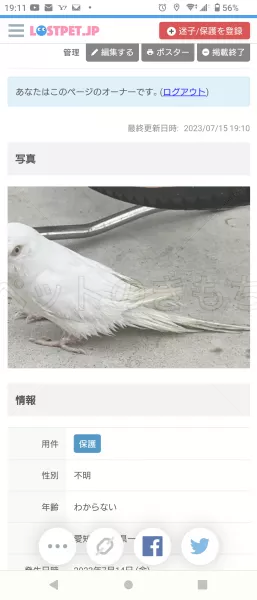 保護鳥の画像