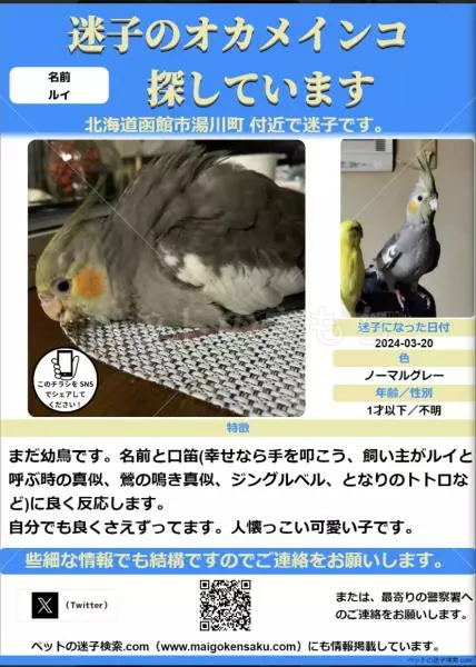 コメントの画像