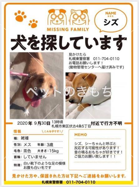 北海道で犬が迷子になりました 犬種 雑種 投稿no 北海道で犬が迷子になりました 犬種 雑種 投稿no