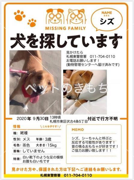 北海道で犬が迷子になりました 犬種 雑種 投稿no