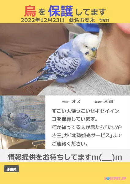 コメントの画像