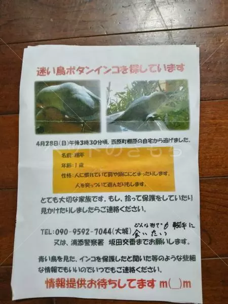 コメントの画像