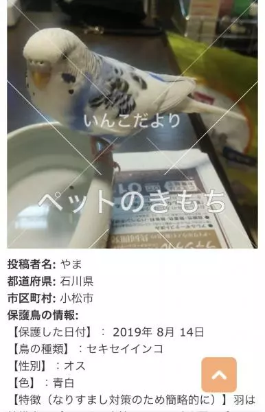 コメント投稿の画像