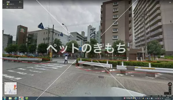 コメント投稿の画像