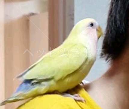 Tfzxtpbijdw4jm Tfzxtpbijdw4jm