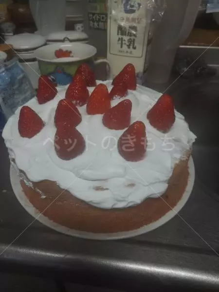 コメントの画像