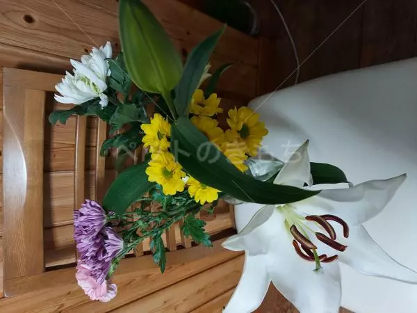 コメントの画像