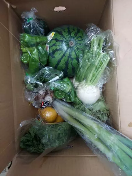 コメントの画像