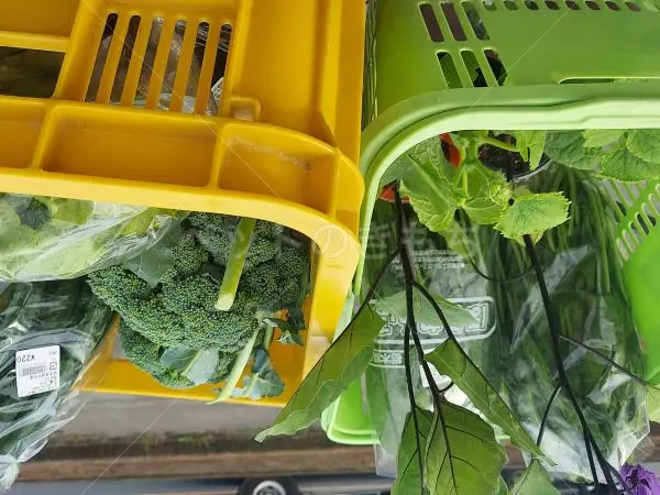 コメントの画像