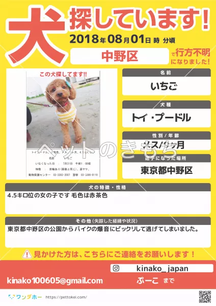 迷子犬の画像