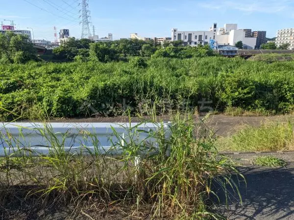 コメントの画像