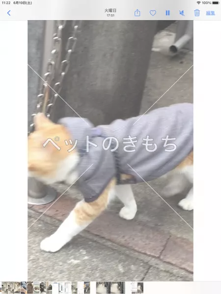 コメント投稿の画像