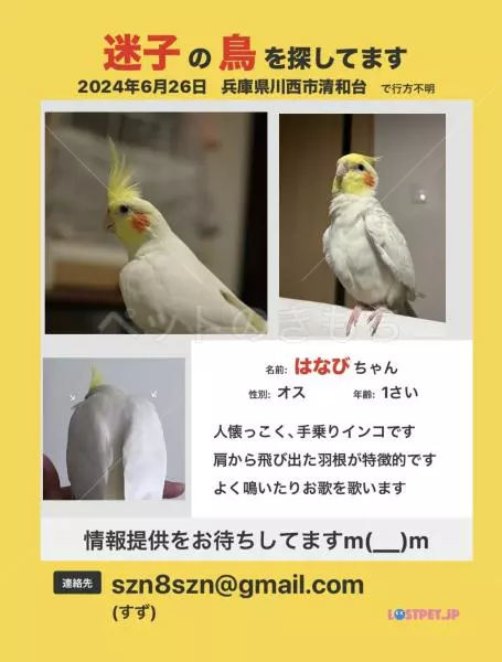 コメントの画像