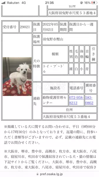 コメントの画像