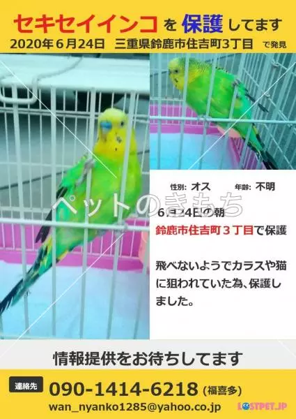 コメント投稿の画像
