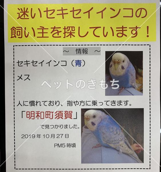 保護鳥の写真