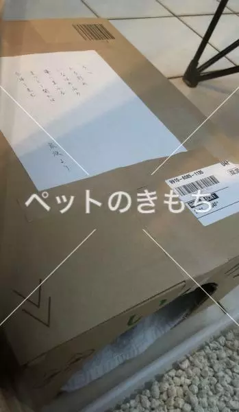 コメント投稿の画像