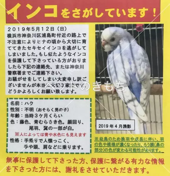 コメント投稿の画像