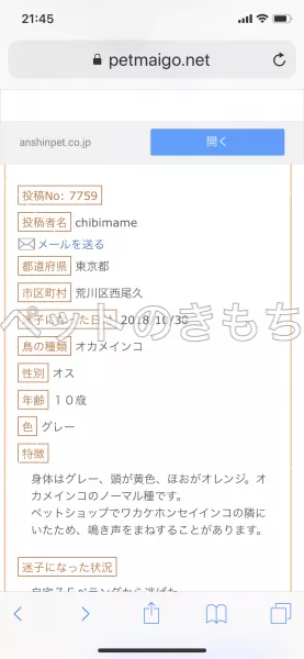 コメント投稿の画像