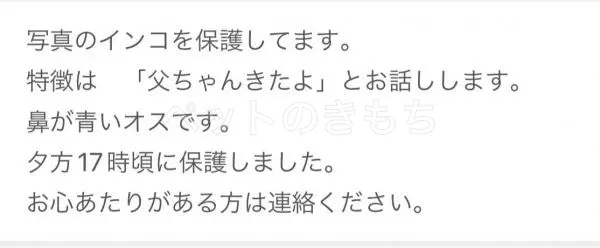 コメントの画像