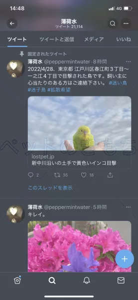 コメントの画像