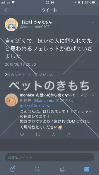 コメント投稿の画像