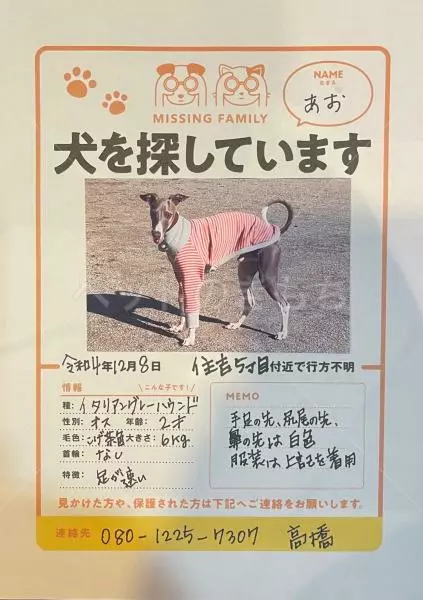 迷子犬の画像