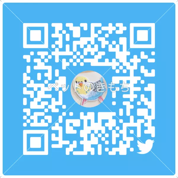 コメント投稿の画像