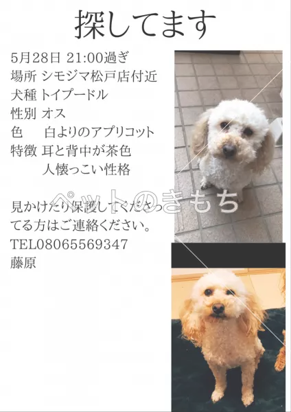 コメント投稿の画像