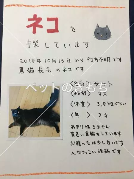 コメント投稿の画像