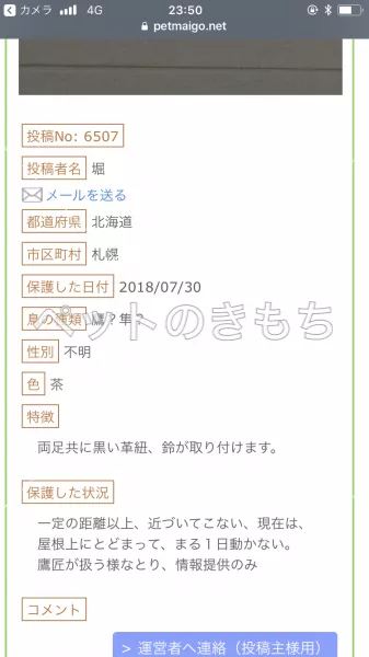 コメント投稿の画像