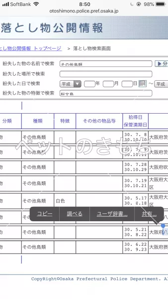 コメント投稿の画像