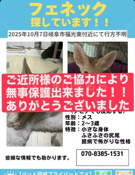 コメントの画像