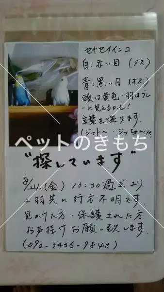 コメント投稿の画像