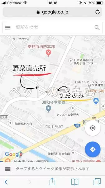 コメント投稿の画像